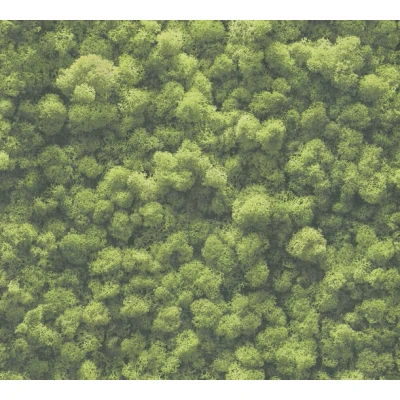 Afbeelding van AS Creation PintWalls II 39405 1 / 394051 Groen