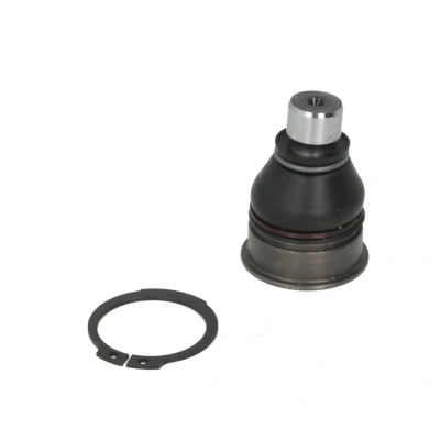 Afbeelding van Moog Fuseekogel NI BJ 10627