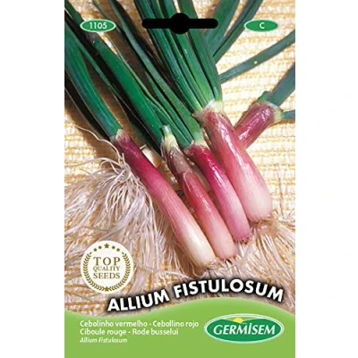 Afbeelding van Germisem Allium Fistulosum Rode Bieslook Zaden 2 g