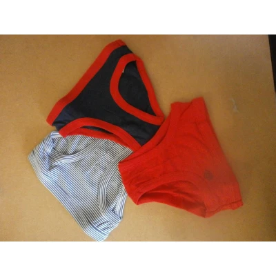Afbeelding van Petit Bateau 3 pack Jongens Onderbroek Slip Marine , rood streepje Retro 6jaar 114