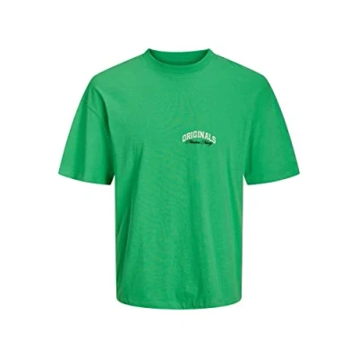 Afbeelding van JACK &amp; JONES JORTAMPA Tee SS Crew Neck 1 FST, Laurel Wreath, S