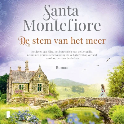 Afbeelding van De stem van het meer