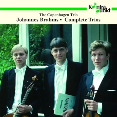 Afbeelding van The Copenhagen Trio Complete Trios (2 CD)