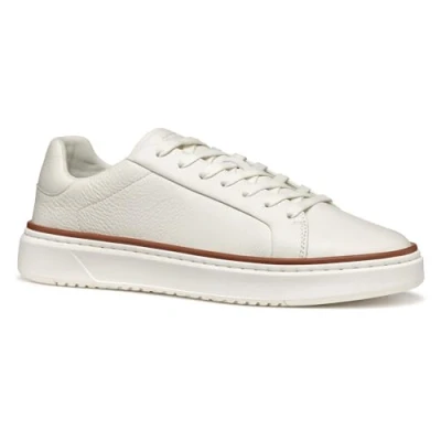 Afbeelding van Geox Zackerty Sneakers laag, Heren, Maat: 43, White Leer
