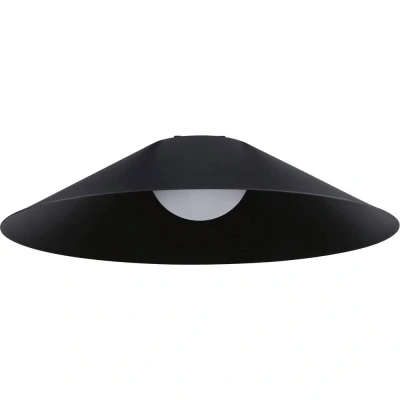 Afbeelding van Paulmann, Wandlamp + plafondlamp, Gurt System ULine Pendel Cone (1245 lm)