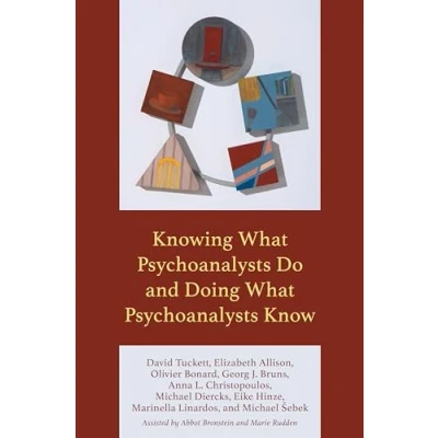 Afbeelding van Knowing What Psychoanalysts Do and Doing Know