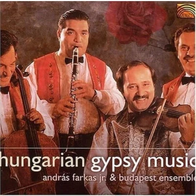 Afbeelding van Andras Farkas Jr &amp; Budapest Ensemble Hungarian Gypsy Music (CD)