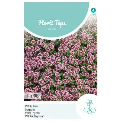 Afbeelding van Thymus, Wilde Tijm Purperrood