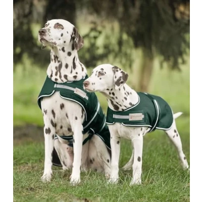 Afbeelding van Waldhausen Hondenregendeken Fir Green 50cm