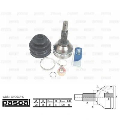 Afbeelding van Askoppeling PASCAL G1G047PC