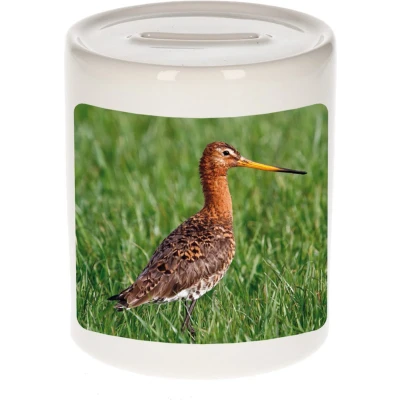 Afbeelding van Foto grutto vogel spaarpot 9 cm Cadeau vogels liefhebber Spaarpotten