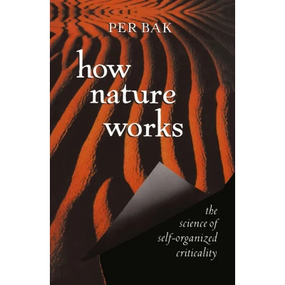 Afbeelding van How Nature Works: the science of self organized criticality
