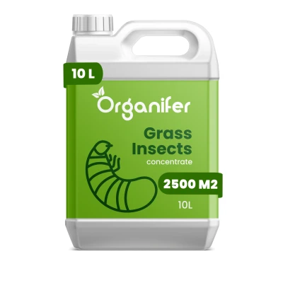 Afbeelding van Organifer Grass Insects Concentraat 10 l voor 2500 m2