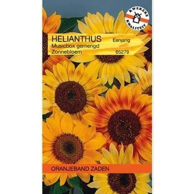 Afbeelding van Helianthus, Zonnebloem Musicbox gemengd