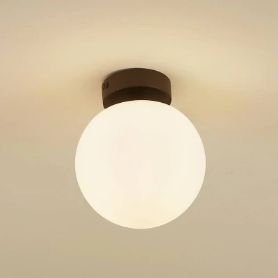 Afbeelding van Lucande Plafondlamp badkamer 1licht Staal, glas H: 17.7 cm E14 zwart
