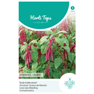 Afbeelding van Amaranthus, Rode Kattenstaart