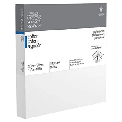 Afbeelding van Winsor &amp; Newton 30 x cm professioneel katoenen diepe rand canvas (Pack van 1)