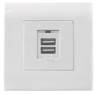 Afbeelding van Intellinet 772211 inbouwdoos met twee USB type A laadpoorten stofklep en 5 V/2,1 uitgangsvermogen frontpaneel in Europees formaat 80 x mm wit