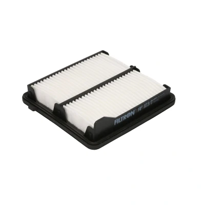 Afbeelding van Filtron Luchtfilter AP 103/1