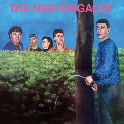 Afbeelding van Nightingales In The Good Old Country Way (CD)