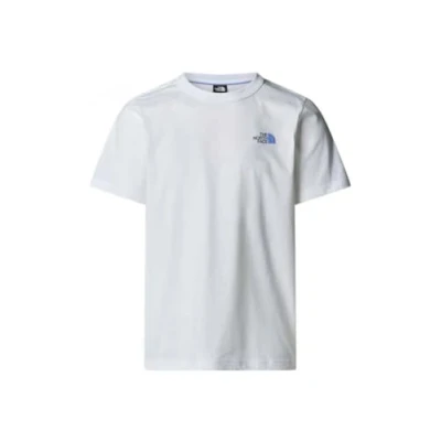 Afbeelding van The North Face Cartoon LOGO Relaxed TEE Tshirt print, Heren, Maat: Small, White