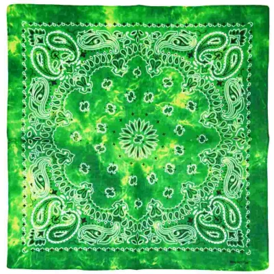Afbeelding van Zac&#039;s Alter Ego Jade Green Shaded Paisley Bandana Groen