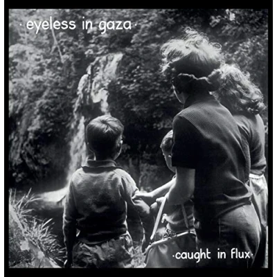 Afbeelding van Eyeless In Gaza Caught Flux (2 LP)