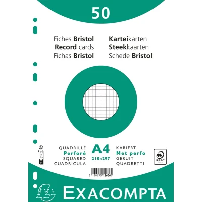 Afbeelding van Steekkaart bristol ruit 5x5 geperforeerd 210x297mm Exacompta