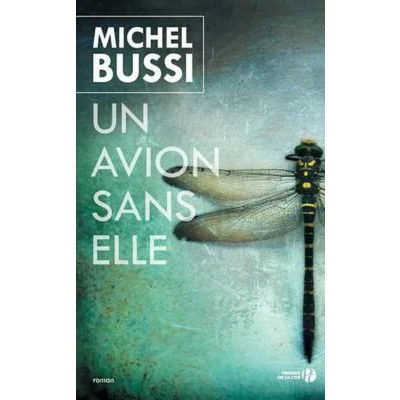 Afbeelding van Un Avion Sans Elle