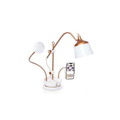 Afbeelding van Daylight Anita Bureaulamp daglicht verlichting bureaulampen