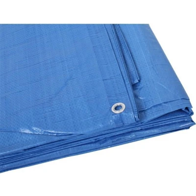 Afbeelding van Argos pe dekkleed afdekzeil blauw 10 x 12 m, 100 g m2,