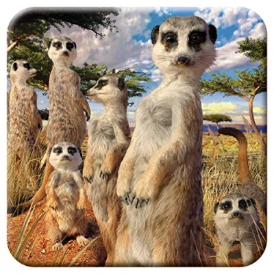 Afbeelding van 3D LiveLife Onderzetter van Kurk Stokstaartje Blik Deluxebase. Lenticulaire Safari Onderzetter. Antislip drinkmat met origineel kunstwerk de bekende kunstenaar David Penfound