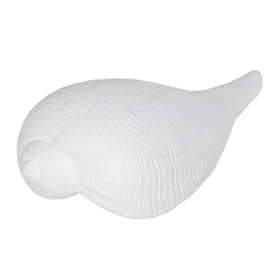 Afbeelding van Decoratieve figuren Wit Schelp 15 x 7 5 cm