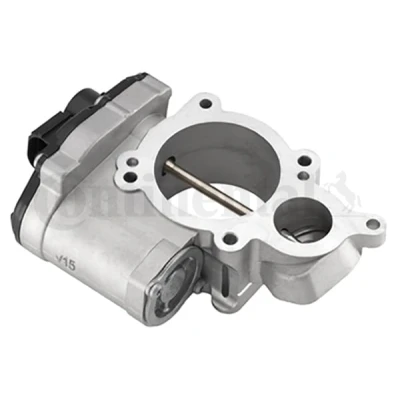 Afbeelding van Vdo EGR klep 408 265 001 007Z
