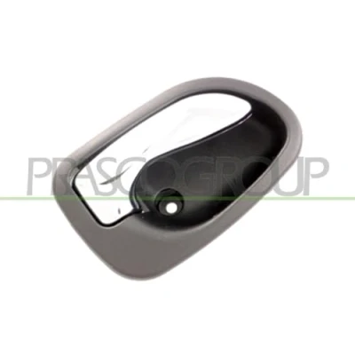 Afbeelding van Handgreep, interieur PRASCO HN3208505