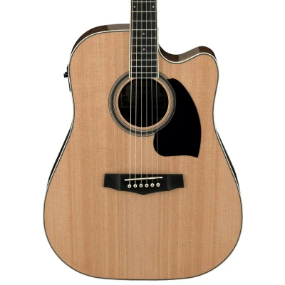 Afbeelding van Ibanez PF15ECE NT