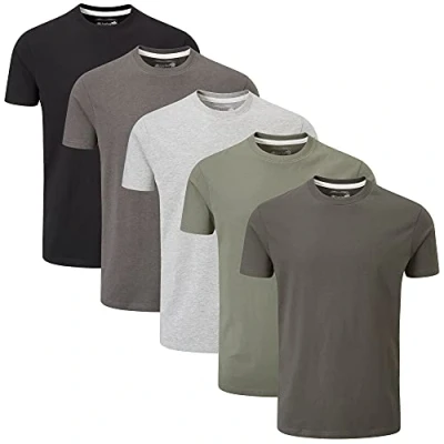 Afbeelding van Charles Wilson Effen Ronde Hals T Shirt 5 Stuks (Large, Grey Essentials)