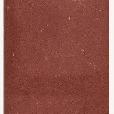 Afbeelding van Excluton Tegel 40x60x5 Cm KOMO Rood Ouderwetse betontegel