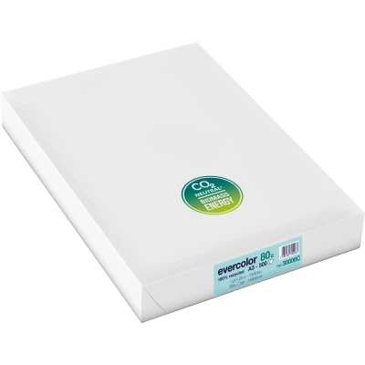 Afbeelding van Clairefontaine Evercolor Gekleurd Gerecycleerd Papier, A3, 80 G, 500 Vel, Helblauw Papier
