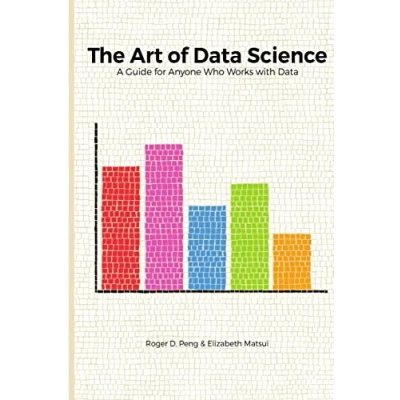 Afbeelding van The Art of Data Science