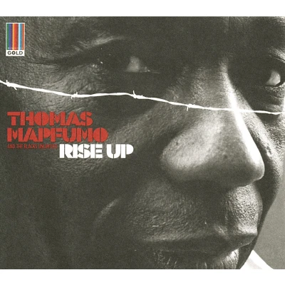 Afbeelding van Thomas Mapfumo Rise Up (CD)