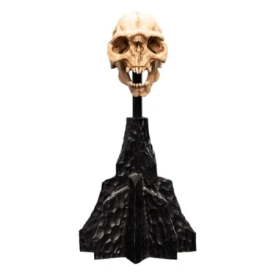 Afbeelding van WETA Workshop Lord of the Rings Mini Statue Skull a Moria Orc 13 cm Beeld