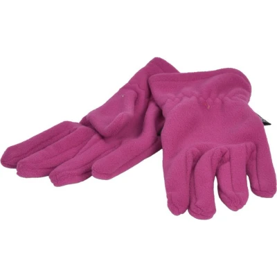 Afbeelding van P&amp;T Handschoenen Dames Micro Fleece Violet