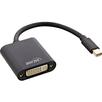 Afbeelding van InLine 17194S video kabel adapter 0,15 m Mini DisplayPort DVI D Zwart