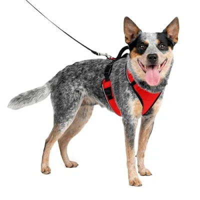 Afbeelding van PetSafe EasySport Harness, Wandelen Harnas voor honden, Verstelbaar, gewatteerd, Medium Rood