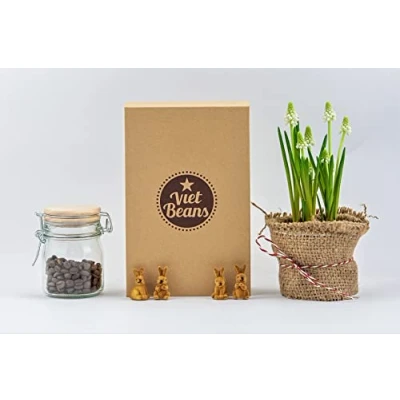 Afbeelding van VietBeans Koffiebonen probeerset in geschenkdoos, vier spannende koffiesoorten voor koffieliefhebbers, koffiecadeauset hele bonen, cadeau idee koffie, 4 x 80 g