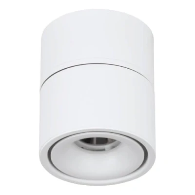 Afbeelding van EGLO LED inbouwspot Bohoyo, spot semi inbouw, inbouw lamp of opbouwlamp, spotje van wit aluminium, plafondverlichting ∅ 10 cm
