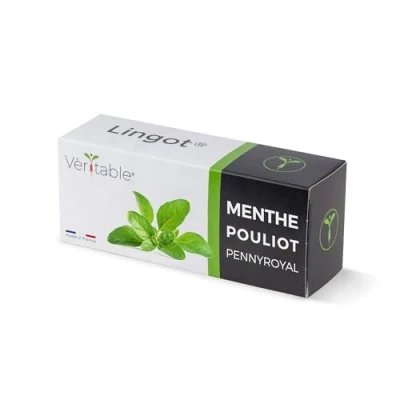 Afbeelding van Lingot® Mint Pouliot compatibel met echte binnenmoestuin en Exky® kant klare navulverpakking substraat geïntegreerde zaden