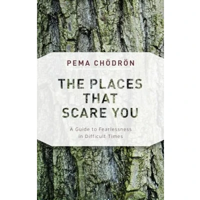 Afbeelding van The Places That Scare You: A Guide to Fearlessness in Difficult Times