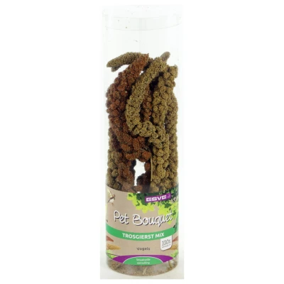 Afbeelding van Esve Pet Bouquet Koker Trosgierst Vogelsnack